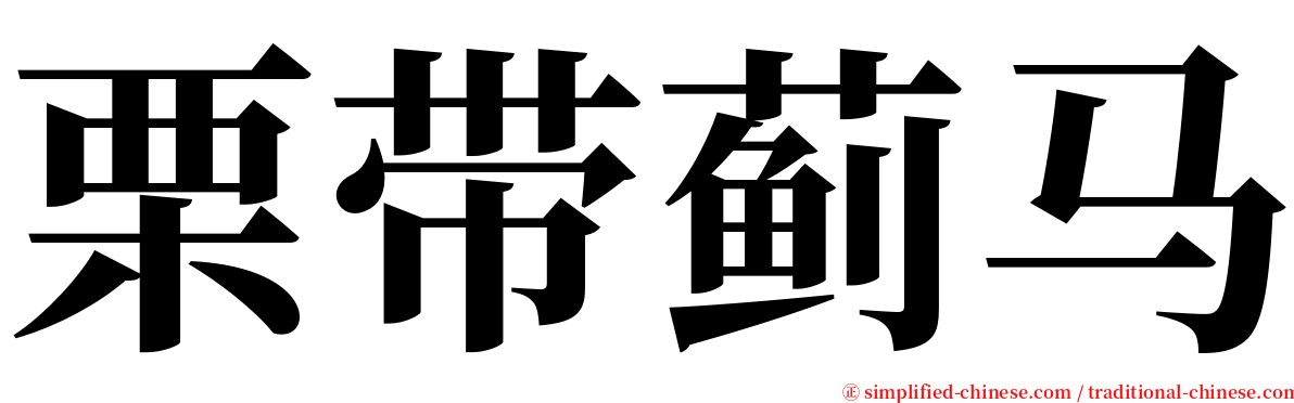 栗带蓟马 serif font