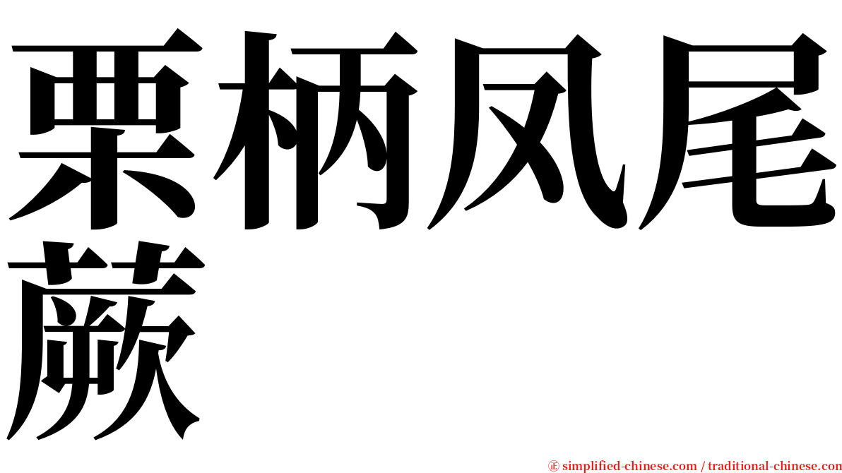 栗柄凤尾蕨 serif font