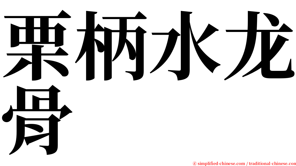 栗柄水龙骨 serif font