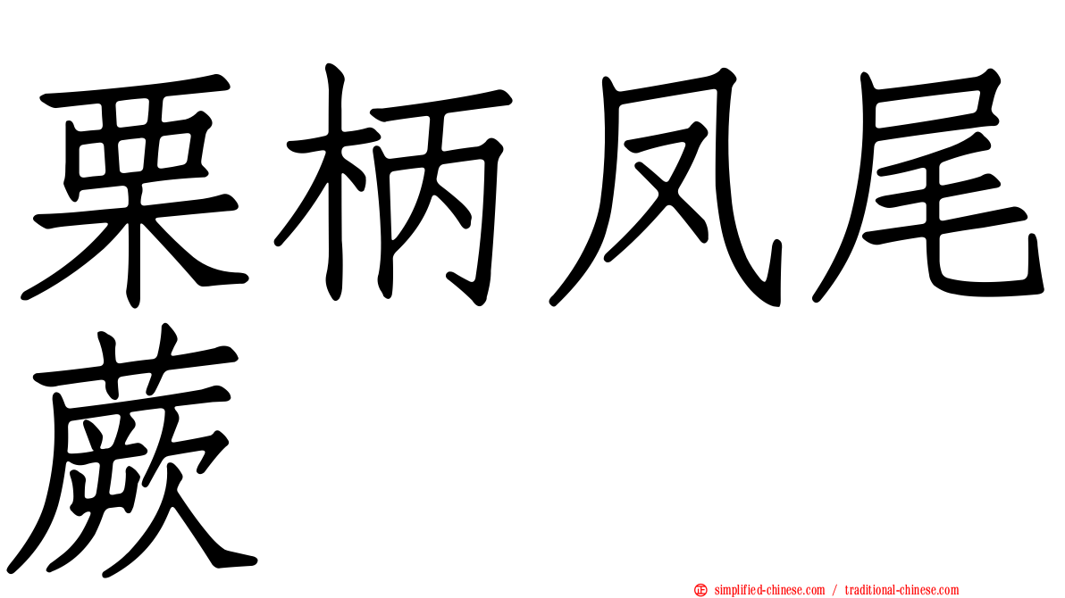 栗柄凤尾蕨