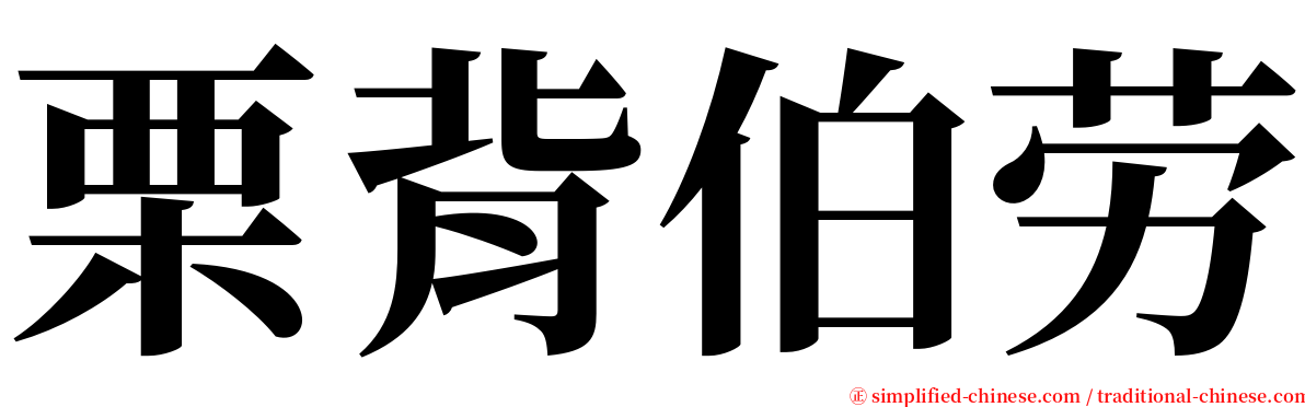 栗背伯劳 serif font