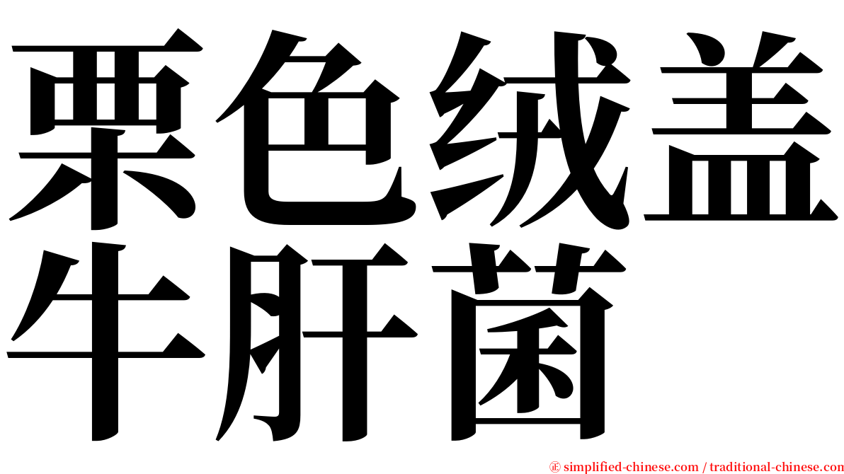 栗色绒盖牛肝菌 serif font