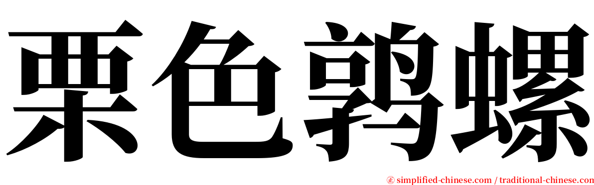 栗色鹑螺 serif font