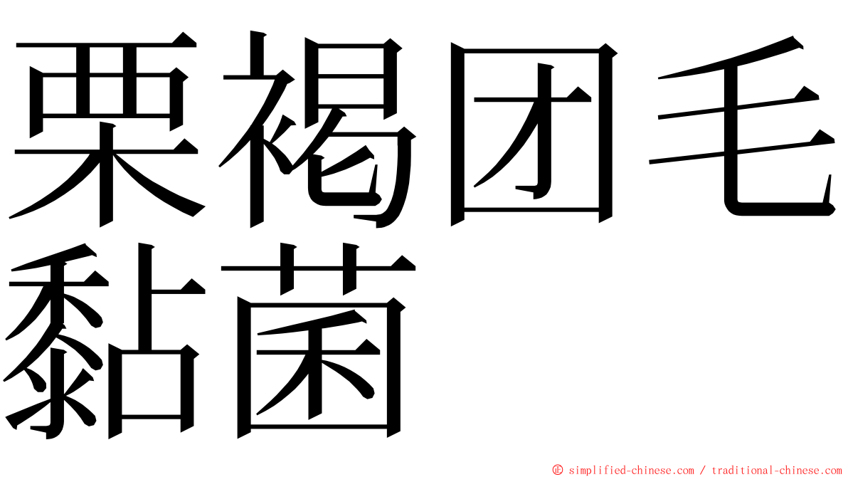 栗褐团毛黏菌 ming font