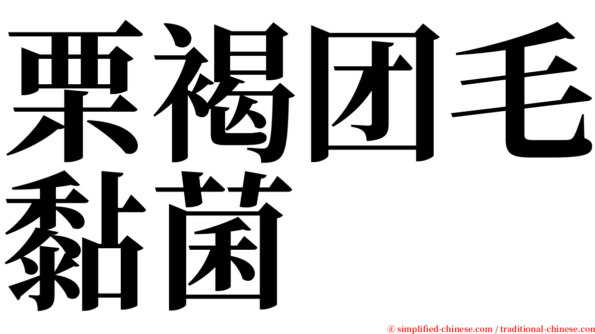 栗褐团毛黏菌 serif font