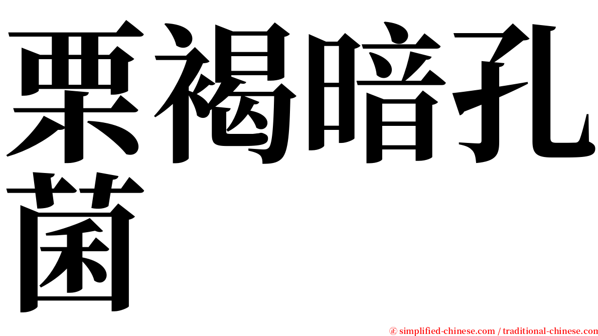 栗褐暗孔菌 serif font