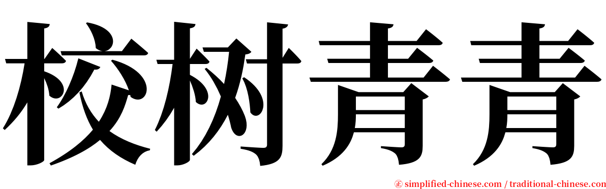 校树青青 serif font