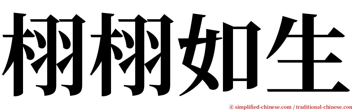 栩栩如生 serif font