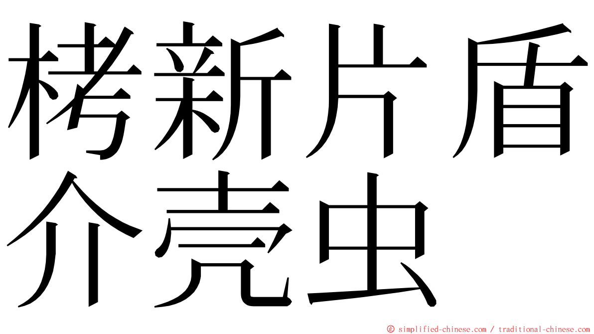 栲新片盾介壳虫 ming font