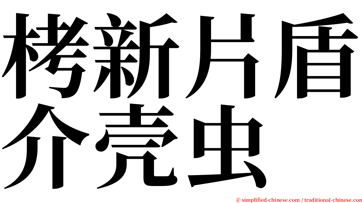 栲新片盾介壳虫 serif font