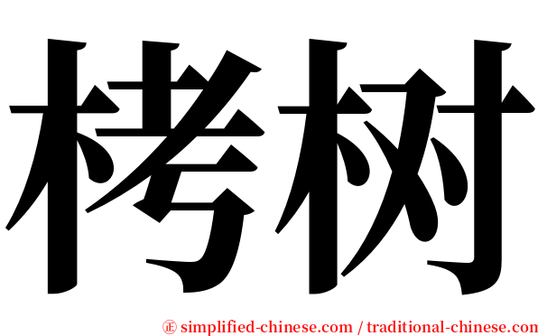 栲树 serif font