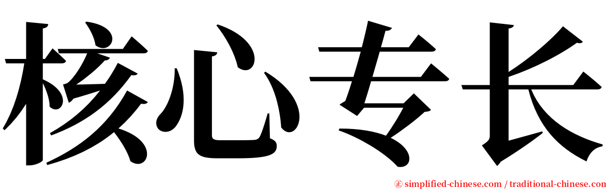 核心专长 serif font