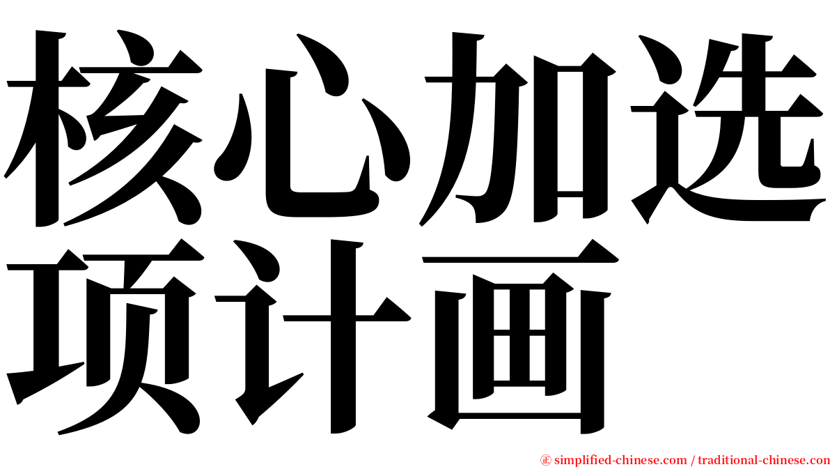 核心加选项计画 serif font