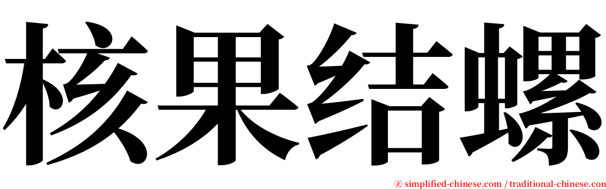 核果结螺 serif font