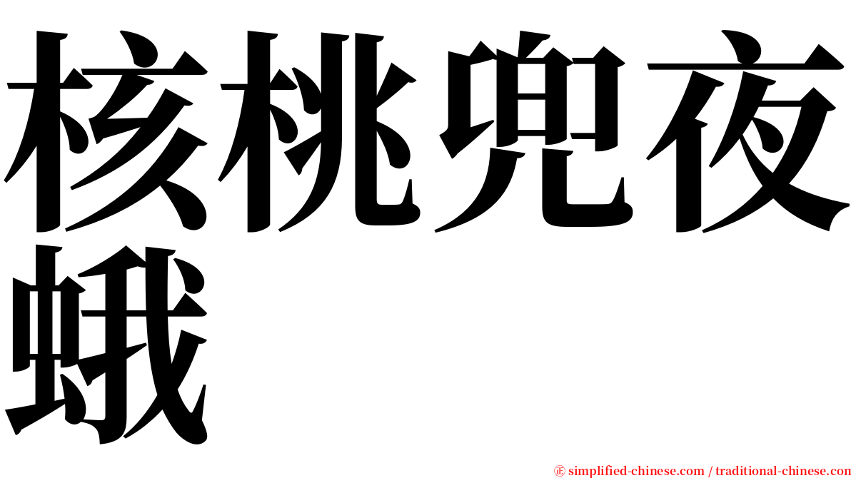 核桃兜夜蛾 serif font