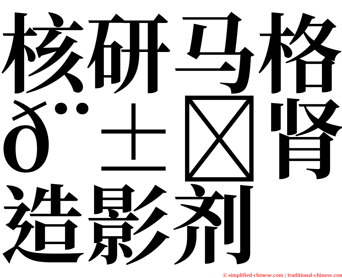 核研马格𨱏肾功能造影剂 serif font