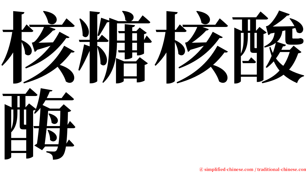 核糖核酸酶 serif font