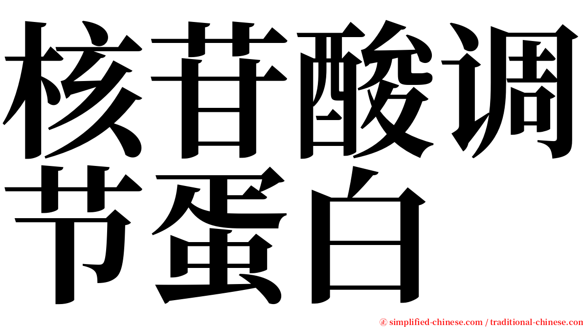 核苷酸调节蛋白 serif font