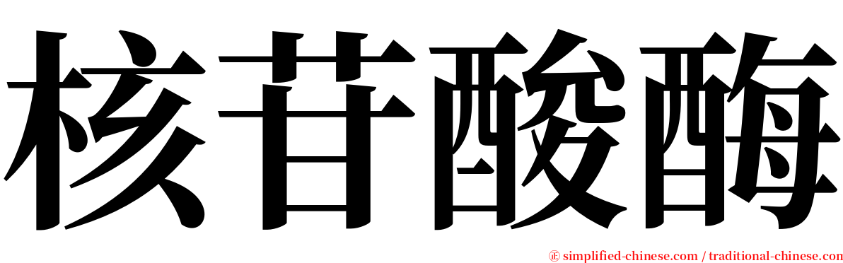 核苷酸酶 serif font