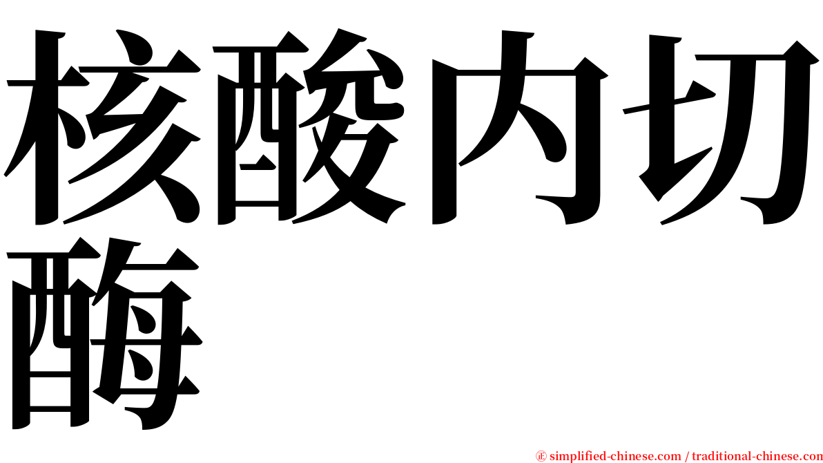 核酸内切酶 serif font