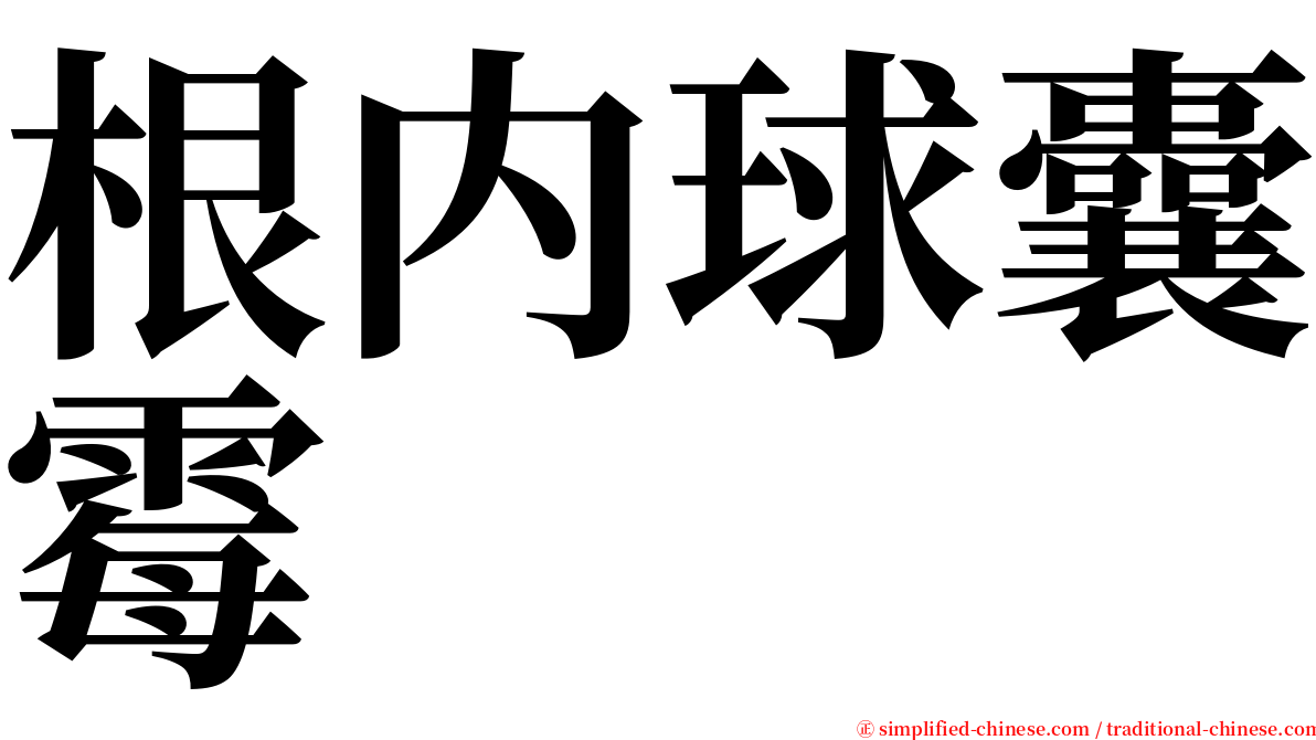 根内球囊霉 serif font