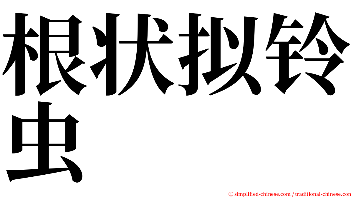 根状拟铃虫 serif font