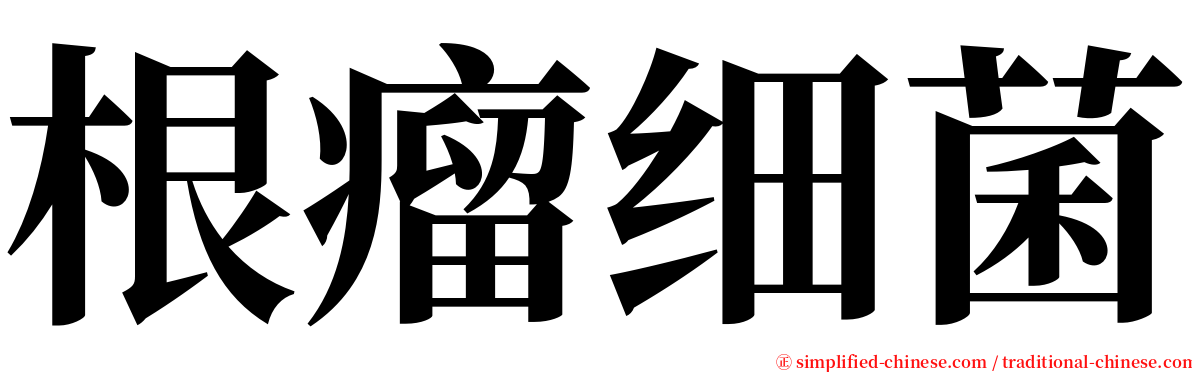 根瘤细菌 serif font