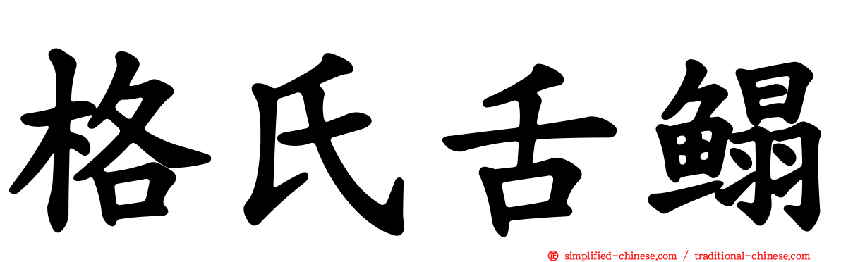 格氏舌鳎