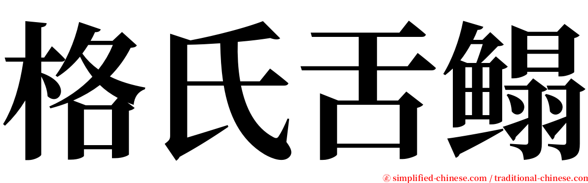 格氏舌鳎 serif font