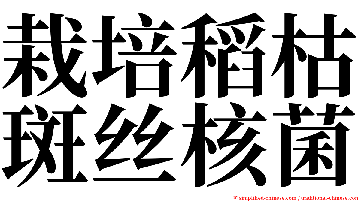 栽培稻枯斑丝核菌 serif font