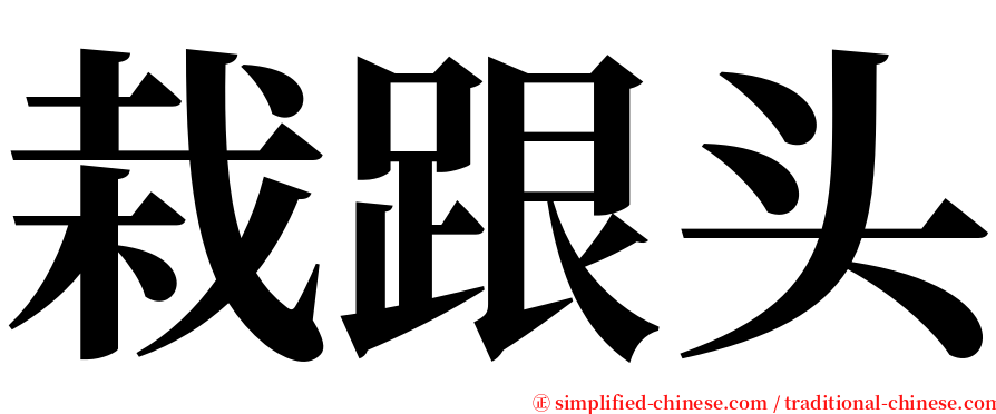 栽跟头 serif font