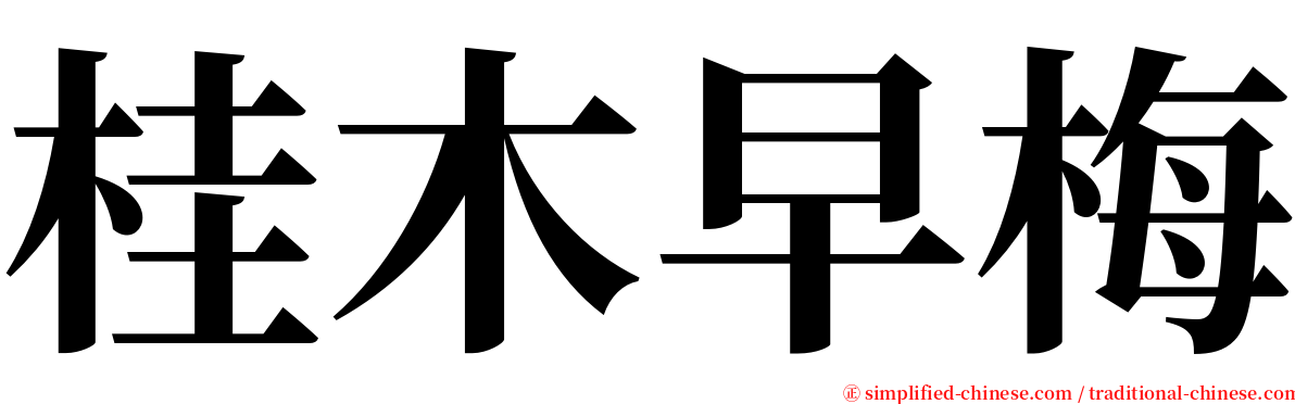 桂木早梅 serif font