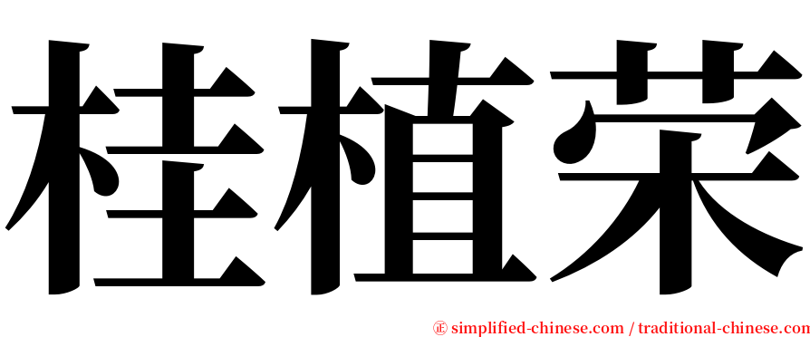 桂植荣 serif font