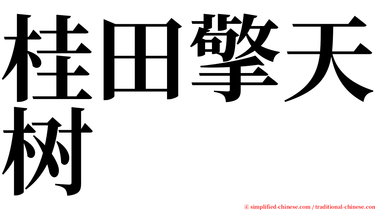 桂田擎天树 serif font