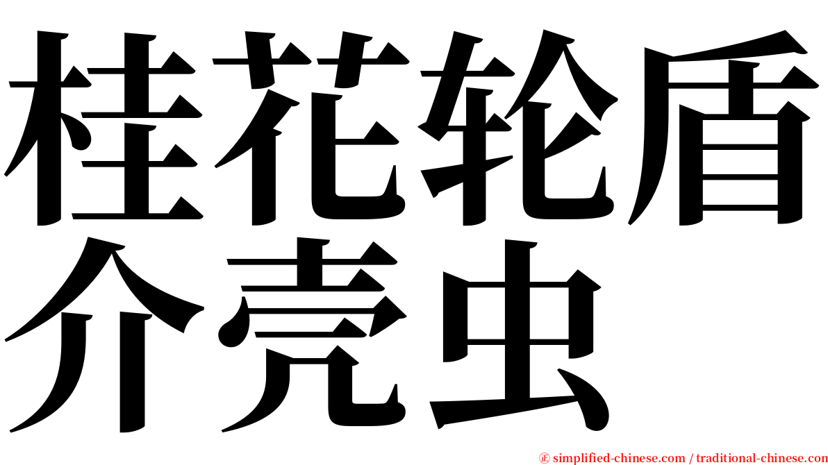 桂花轮盾介壳虫 serif font