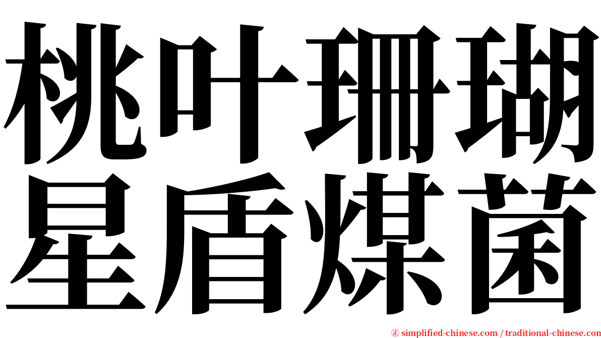 桃叶珊瑚星盾煤菌 serif font