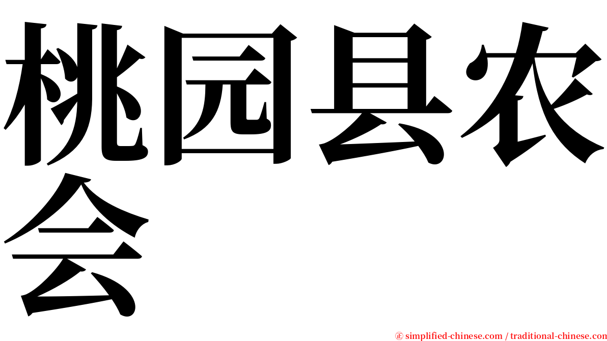 桃园县农会 serif font