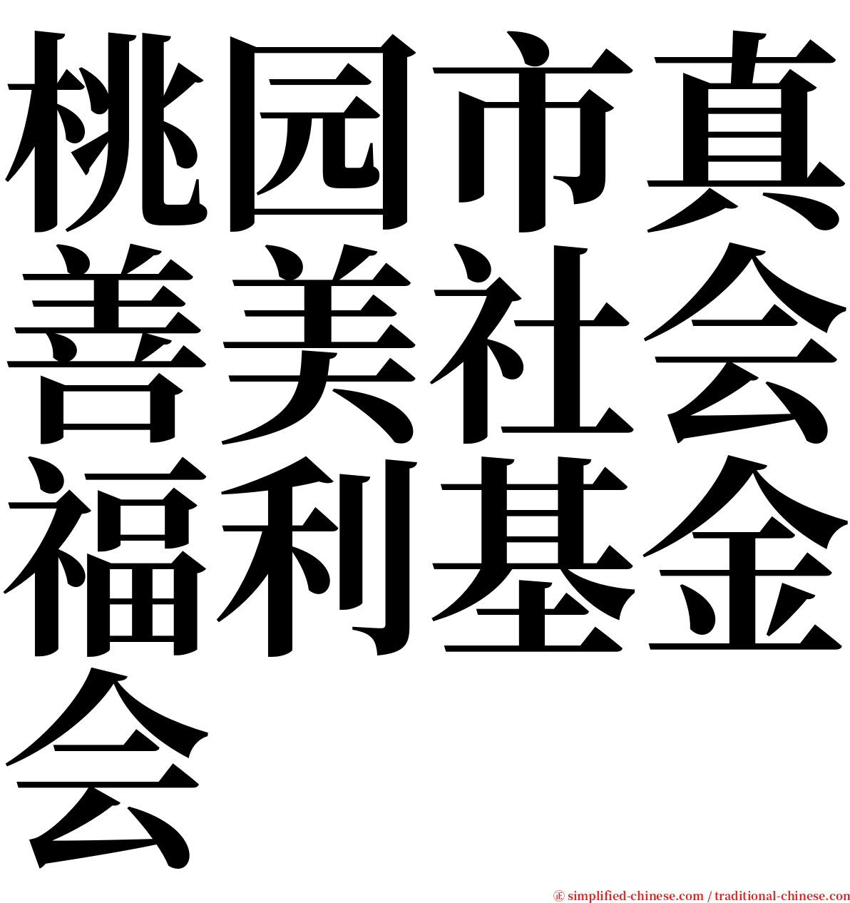 桃园市真善美社会福利基金会 serif font