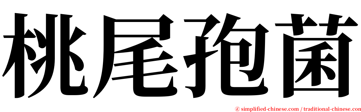 桃尾孢菌 serif font