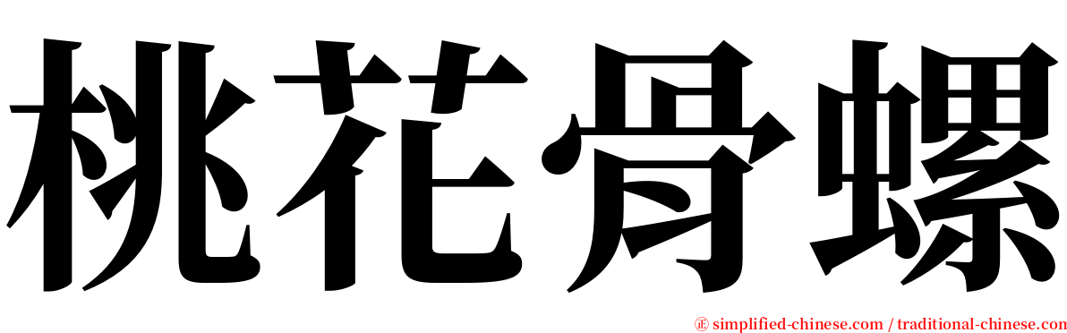 桃花骨螺 serif font