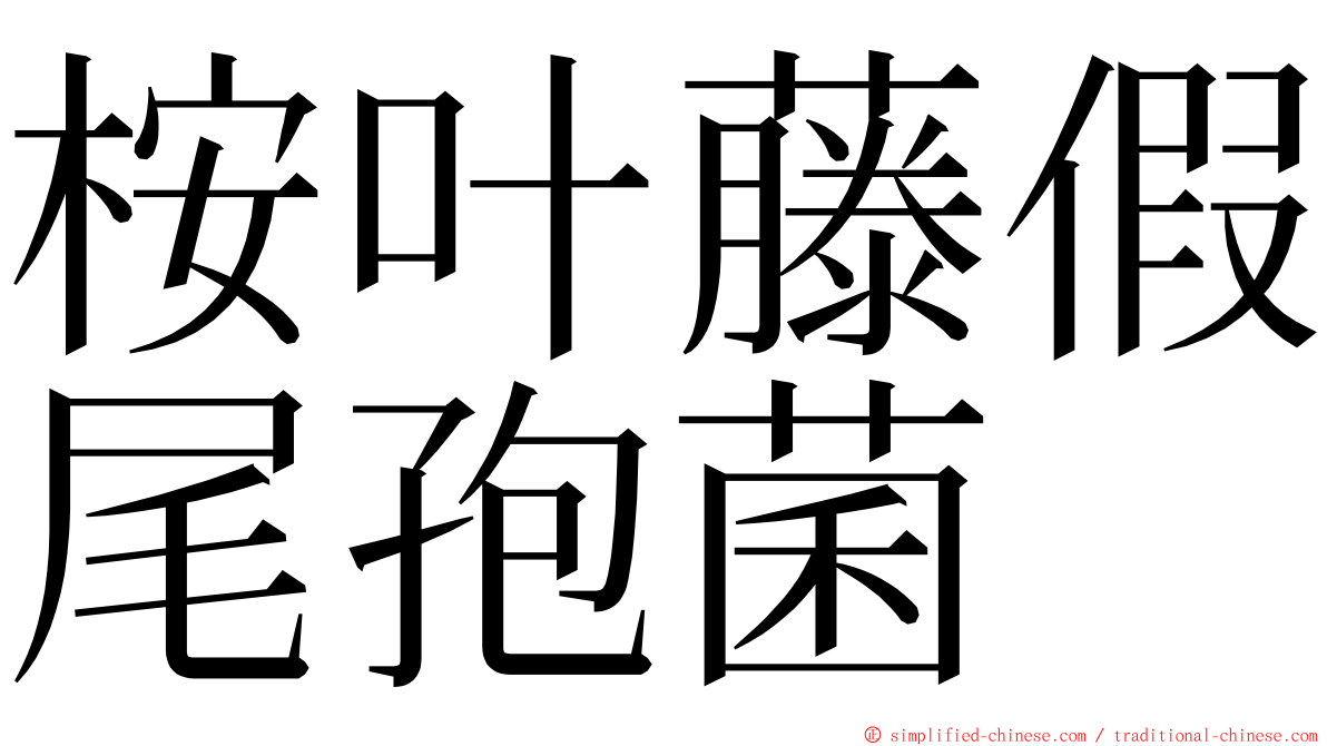 桉叶藤假尾孢菌 ming font