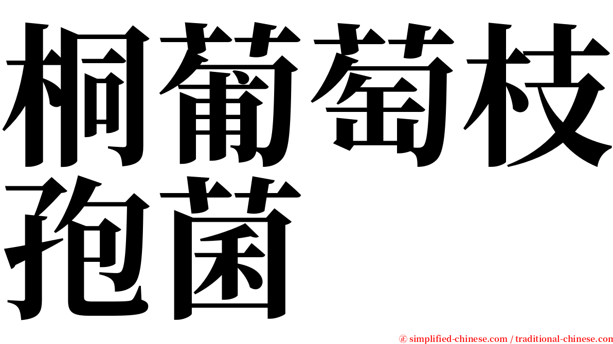 桐葡萄枝孢菌 serif font