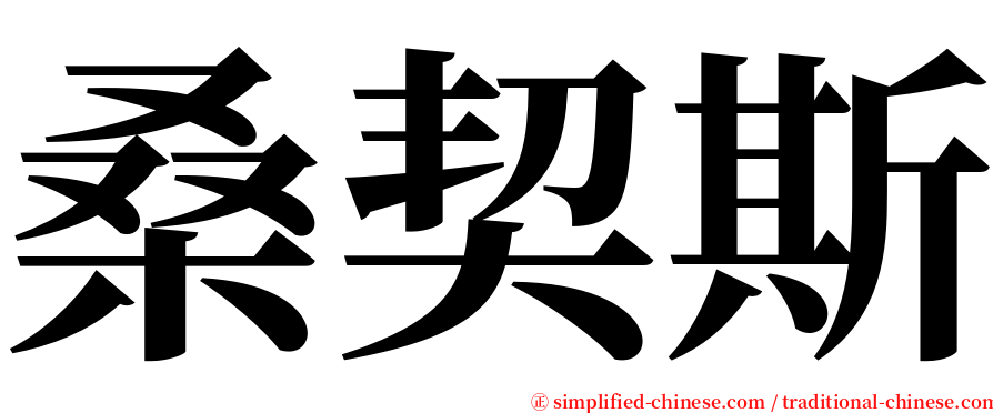 桑契斯 serif font