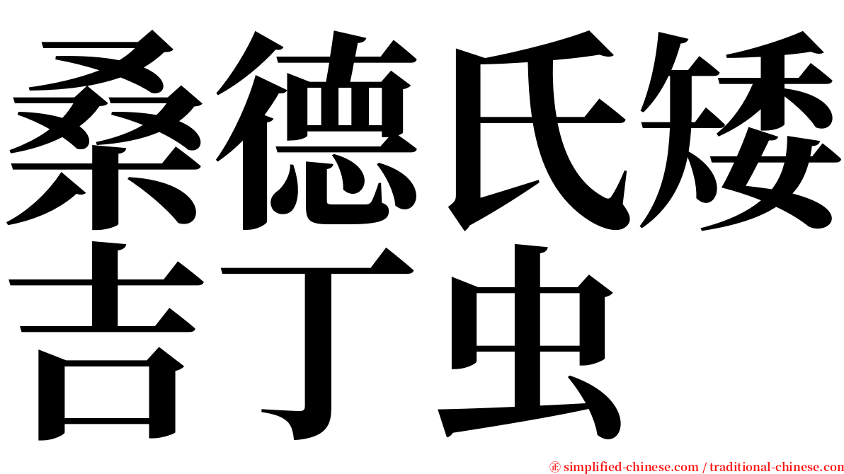 桑德氏矮吉丁虫 serif font