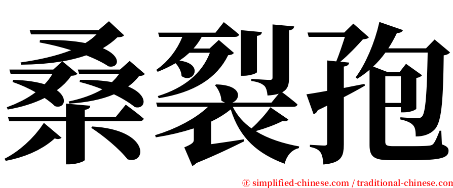 桑裂孢 serif font