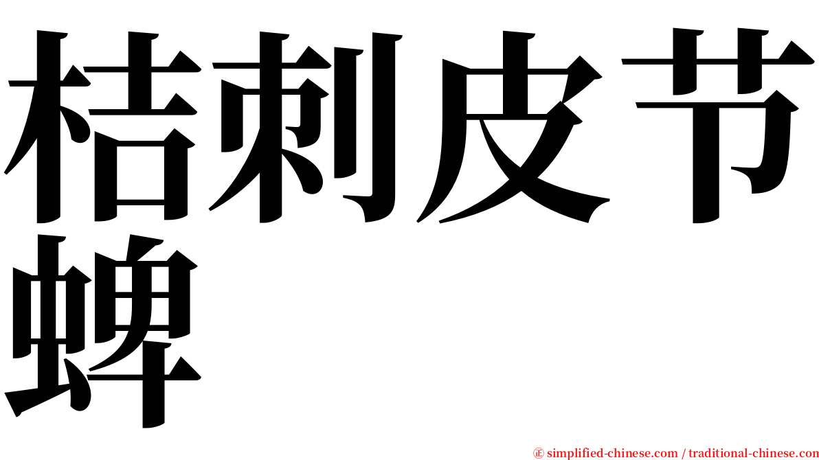 桔刺皮节蜱 serif font