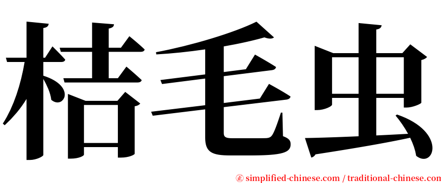 桔毛虫 serif font