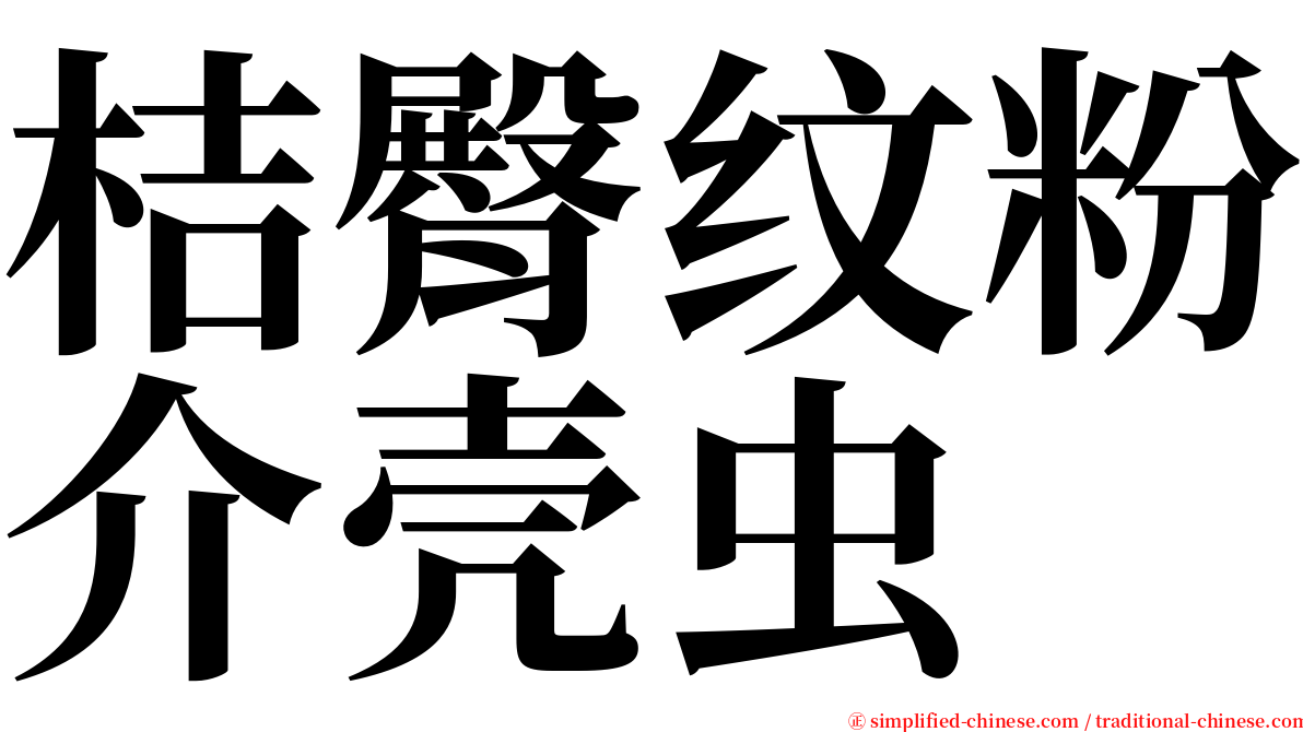 桔臀纹粉介壳虫 serif font