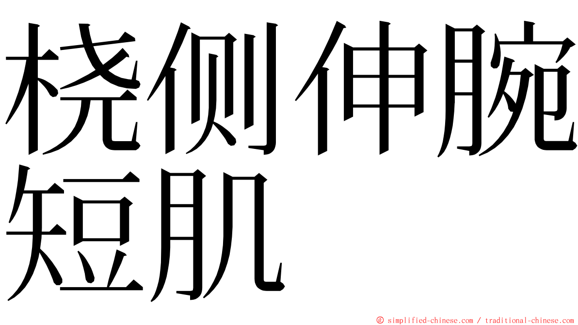 桡侧伸腕短肌 ming font