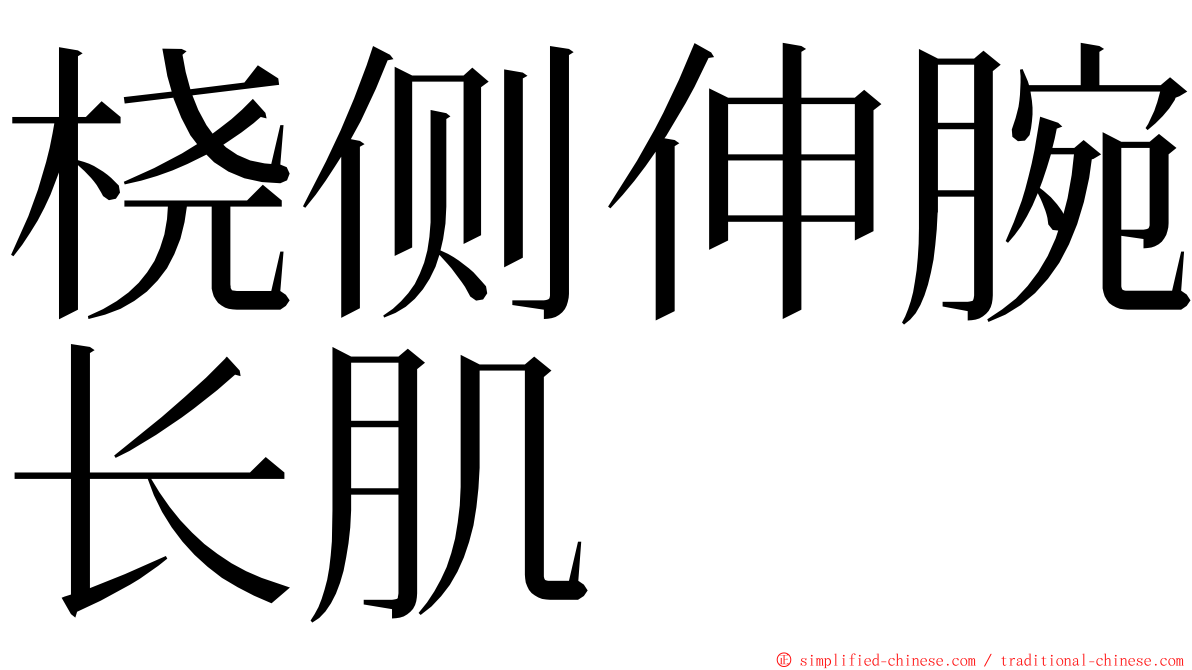 桡侧伸腕长肌 ming font